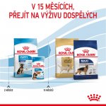 Royal Canin Maxi Puppy 4 kg – Zboží Mobilmania