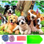 Norimpex Diamantové malování Veselá psí parta 30 x 40 cm – Sleviste.cz