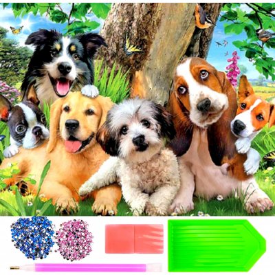 Norimpex Diamantové malování Veselá psí parta 30 x 40 cm – Sleviste.cz