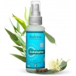 Saloos Natur aroma airspray přírodní osvěžovač vzduchu Eukalyptus 50 ml – HobbyKompas.cz