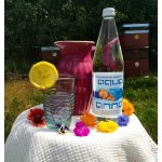Aqua Anna Ovčelená voda ve skle 0,75 l – Zboží Dáma