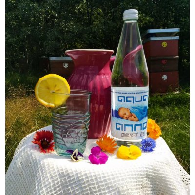 Aqua Anna Ovčelená voda ve skle 0,75 l – Zboží Dáma