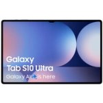 Samsung Galaxy Tab S10 Ultra SM-X920NZAPEUB – Zboží Živě