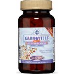 Solgar Kangavites Multivitamin a minerál pro děti Lesní plody 120 žvýkacích tablet – Hledejceny.cz