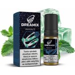 Dreamix SALT Menthol'S Mentol 10 ml 10 mg – Hledejceny.cz