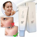 Beauty of Joseon opalovací krém SPF50+ 50 ml – Zboží Dáma