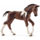 Schleich 13758 Kůň Thakener hříbě