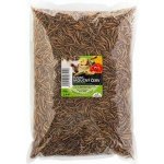 UGF Sušený moučný červ 0,5 kg – Sleviste.cz