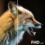 Strong SRT40FF2003C – Zboží Živě