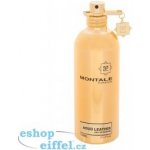 Montale Aoud Leather parfémovaná voda unisex 100 ml – Hledejceny.cz