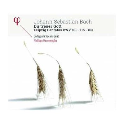 Johann Sebastian Bach - Du Treuer Gott - Leipzig Canatas BWV 101 - 115 - 103 CD – Zboží Mobilmania