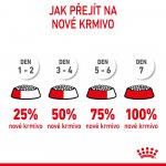 Royal Canin Second Age Kitten 0,4 kg – Zboží Dáma