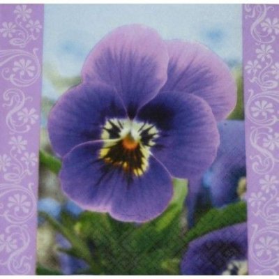 ubrousek 33x33 cm MACEŠKA – Hledejceny.cz