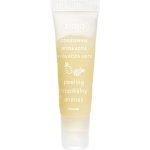 Ziaja Peeling na rty Tropický ananas Lip Scrub 12 ml – Zbozi.Blesk.cz