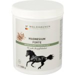 Waldhausen Magnesium Forte 1 kg – Hledejceny.cz