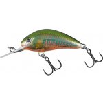Salmo HORNET-BE H3F 3,5 cm – Zboží Mobilmania