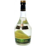 Pircher Williams s hruškou 40% 0,7 l (holá láhev) – Zboží Dáma