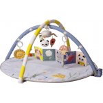 TAF Toys Hrací deka s hrazdou Bloom – Sleviste.cz