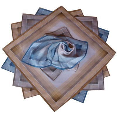 Etex pánské kapesníky bavlněné sada 6ks nový typ – Zboží Dáma