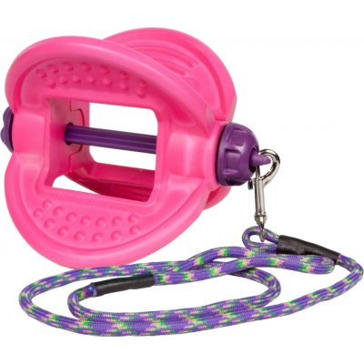 BIZZY HORSE BIZZY BALL Plastový držák na pochoutky pink – Hledejceny.cz