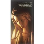 Maria – sv. Ludvík M. Grignon z Montfortu (PC 21) – Hledejceny.cz