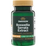 Swanson 5-Loxin Boswellia Serrata Extract 60 kapslí – Hledejceny.cz