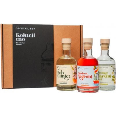 Boy Cocktail Koktejl Trio 3x 0,2l (karton) – Zboží Dáma