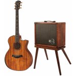 Taylor 924ce-K 50th Anniversary – Hledejceny.cz