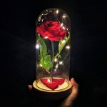 Svítící růže ve skleněné váze – Zboží Dáma