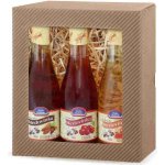 Jankar Profi Medovinka 3 x 0,2 l (set) – Zbozi.Blesk.cz