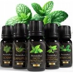 Aromaholik esenciální oleje do sauny 5 x10 ml – Hledejceny.cz