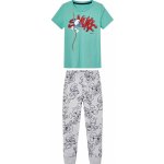 Chlapecké pyžamo zelená šedá – Hledejceny.cz