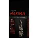Maxima Medium Adult 3 kg – Hledejceny.cz