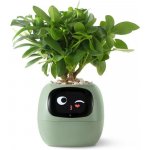 Plantsio Ivy zelený – Sleviste.cz