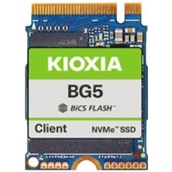 KIOXIA BG5 1TB, KBG50ZNV1T02