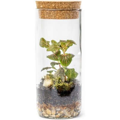 Gardners Skleněná váza Lipia s korkovým víčkem, výška 17,5 cm - osázené vlhkomilně – Hledejceny.cz