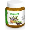 Masážní přípravek Virde Reumafit gel 350 g