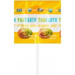 Yum Earth Bio lízátka z vařeného třtinového cukru s příchutí ovoce 6 g – Zboží Dáma