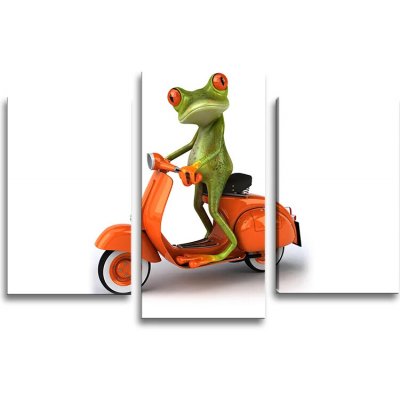 Sablio Obraz - 3-dílný Žába na motorce - 75x50 cm – Hledejceny.cz