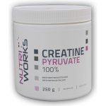 NutriWorks Creatine Pyruvate 250 g – Hledejceny.cz