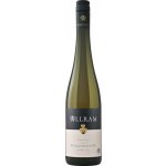 Allram Ried Heiligenstein Riesling 2022 Bílé 13,5% 0,75 l (holá láhev) – Hledejceny.cz