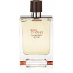 Hermès Terre D'Hermès Eau Intense Vetiver parfémovaná voda pánská 100 ml – Sleviste.cz