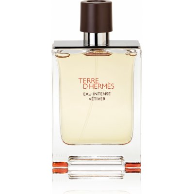 Hermès Terre D'Hermès Eau Intense Vetiver parfémovaná voda pánská 100 ml – Sleviste.cz