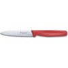 Kuchyňský nůž Victorinox 5.0701.S 10 cm
