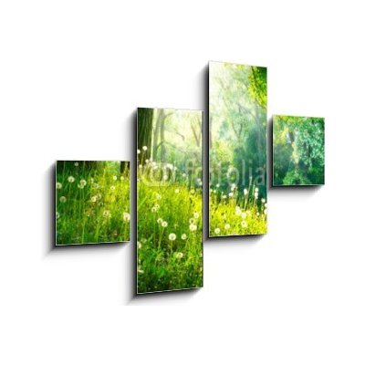 Obraz 4D čtyřdílný - 120 x 90 cm - Spring Nature. Beautiful Landscape. Green Grass and Trees Jarní příroda. Krásná krajina. Zelená tráva a stromy – Hledejceny.cz