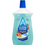 Astonish Čistič podlah Tropical Edition 1 l – Hledejceny.cz