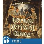 Ostrov Uctívačů ginga - Hrnčíř Svatopluk – Zboží Dáma