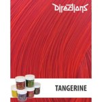 La Riché Directions 29 Tangerine 89 ml – Sleviste.cz