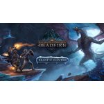 Pillars of Eternity 2: Deadfire - Beast of Winter – Hledejceny.cz