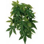 Hagen Exo Terra rostlina Abuliton malá 40 cm – HobbyKompas.cz